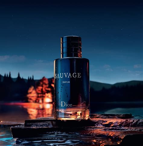 dior sauvage nouveau